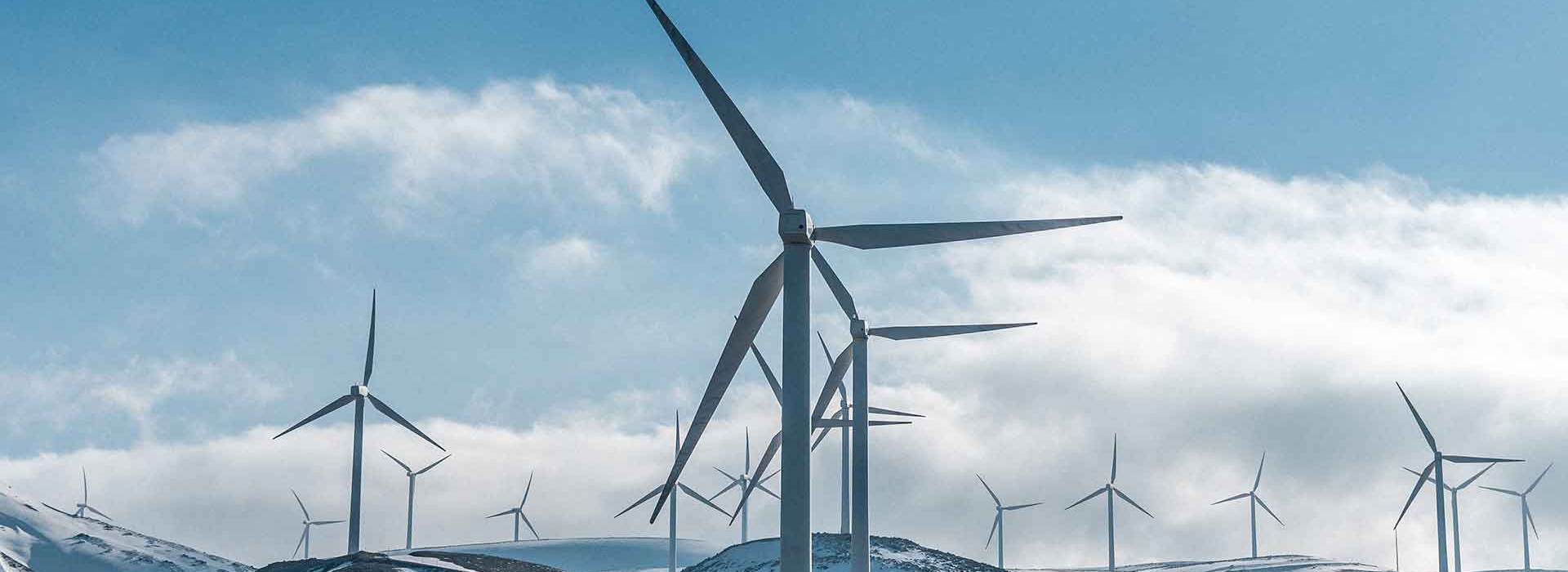 Pioneers Of Solar And Renewable Energy